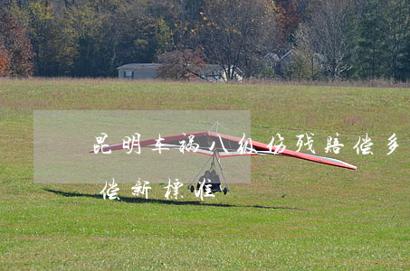 昆明车祸八级伤残赔偿多少(昆明交通事故赔偿新标准)