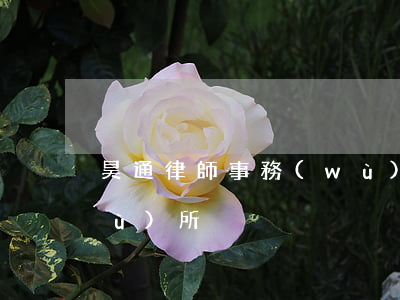 昊通律師事務(wù)所(昊天律師事務(wù)所)