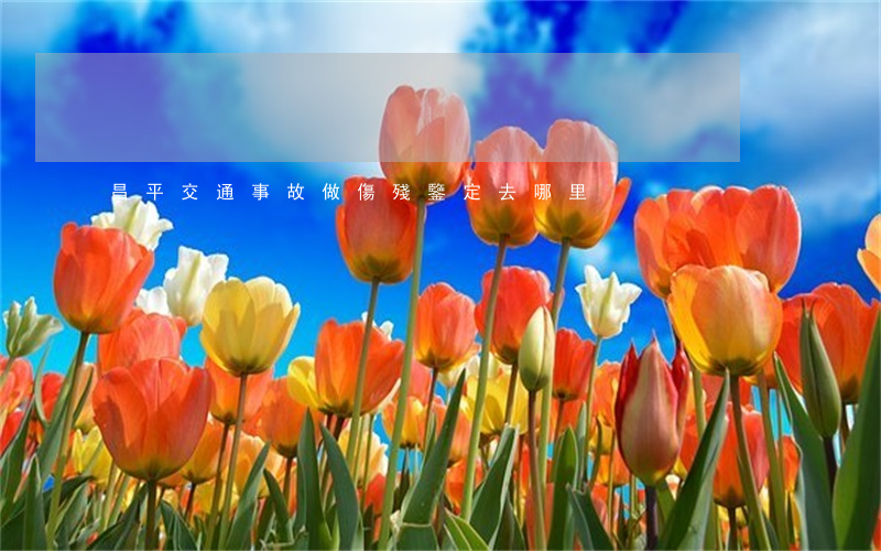 昌平交通事故做傷殘鑒定去哪里