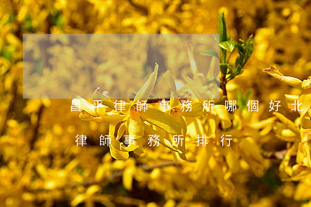 昌平律師事務所哪個好(北京昌平區(qū)律師事務所排行)