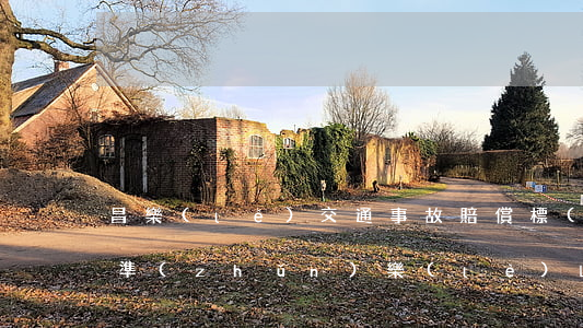 昌樂(lè)交通事故賠償標(biāo)準(zhǔn)(樂(lè)山市交通事故賠償標(biāo)準(zhǔn))