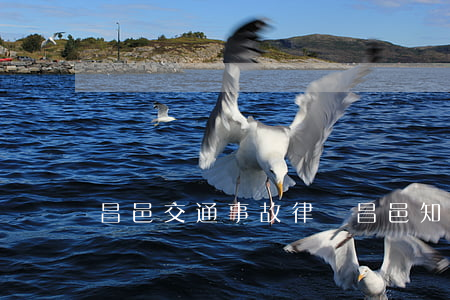 昌邑交通事故律師(昌邑知名律師)