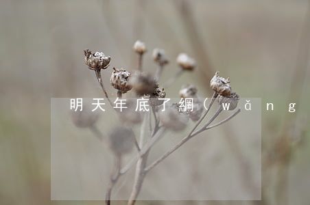 明天年底了網(wǎng)貸要逾期
