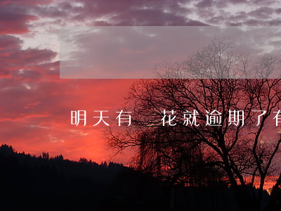 明天有錢花就逾期了(有錢花逾期了兩天)