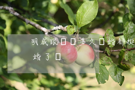 明成跟麗麗多久離婚(都挺好蘇明成和麗麗離婚了嗎)