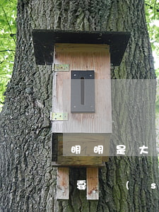 明明是大人(明明是大人的責(zé)任,確總要說(shuō)是小孩不懂事)