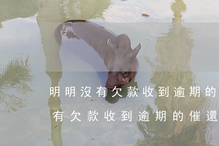 明明沒有欠款收到逾期的催還信息-明明沒有欠款收到逾期的催還信息怎么辦