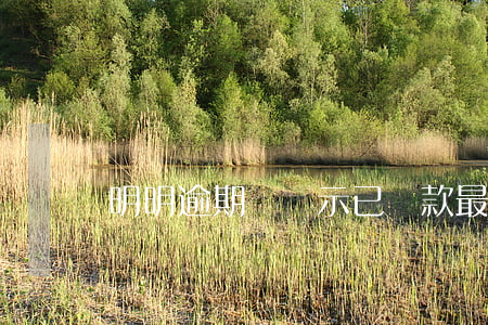 明明逾期卻顯示已還款(最近還款日是逾期嗎)