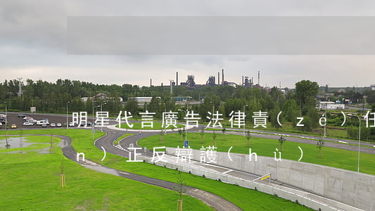 明星代言廣告法律責(zé)任承擔(dān)正反辯護(hù)