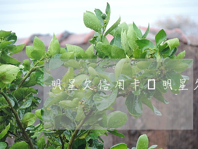 明星欠信用卡錢 明星欠款4000萬