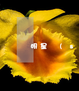 明星誰(shuí)離婚了