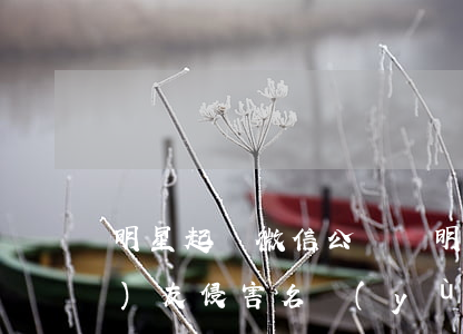 明星起訴微信公眾號 明星起訴網(wǎng)友侵害名譽(yù)權(quán)