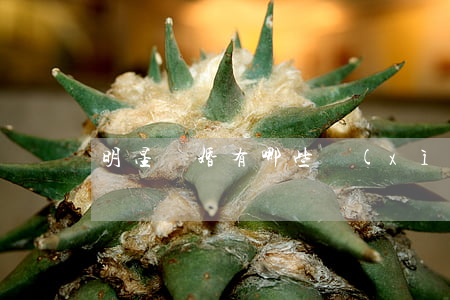明星離婚有哪些細(xì)節(jié)