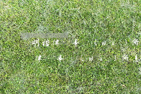 明楷律師事務(wù)所是真的嗎(北京明誠律師事務(wù)所怎么樣)
