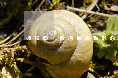 明法典貸款逾期(逾期利息民法典)
