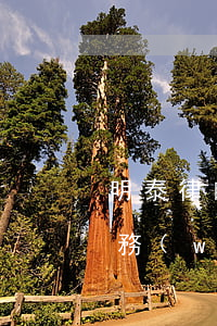 明泰律師事務(wù)所怎么樣(啟明律師事務(wù)所怎么樣)