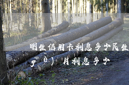 明生信用卡利息多少(民生信用卡1萬一個(gè)月利息多少)