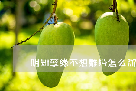 明知孽緣不想離婚怎么辦