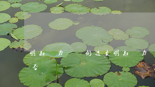 明知無力償還仍透支(明知無力償還仍借貸是否詐騙)