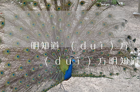 明知道對(duì)方無力償還還打官司么(對(duì)方明知道自己沒能力還錢還借錢)