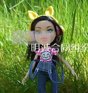 明诚合同纠纷律师聘请多少费用