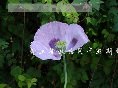 昏迷导致信用卡逾期(因昏迷导致信用卡逾期)