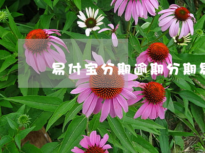 易付宝分期逾期(分期易逾期只能还两期)