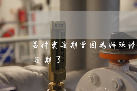 易付宝逾期(曾因为特殊情况导致我让支付宝逾期了)