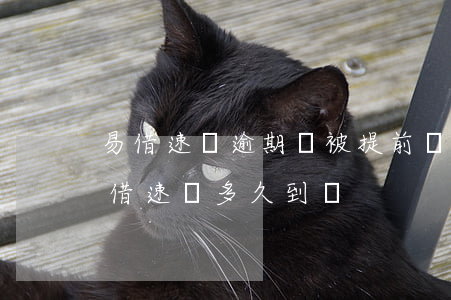 易借速貸逾期會被提前結(jié)清嗎(易借速貸多久到賬)
