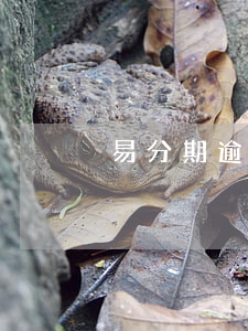 易分期逾期還款騙局