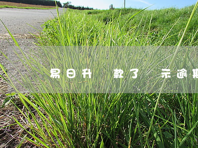 易日升還款了顯示逾期(易日貸提前還款)