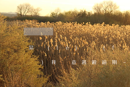易樂(lè)貸發(fā)信息說(shuō)我惡意逃避逾期-易樂(lè)貸發(fā)信息說(shuō)我惡意逃避逾期是真的嗎
