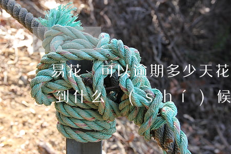 易花唄可以逾期多少天(花唄逾期16天要等到什么時(shí)候才可以繼續(xù)用)