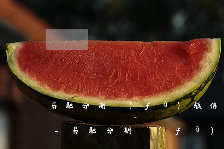 易融分期發(fā)短信說我欠1100元-易融分期發(fā)短信說我欠1100元是真的嗎
