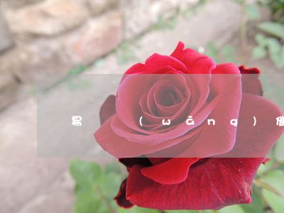 易貸網(wǎng)催收，易借速貸催收