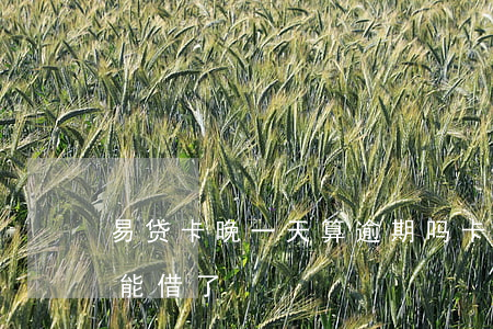 易贷卡晚一天算逾期吗 卡易贷逾期一天就不能借了
