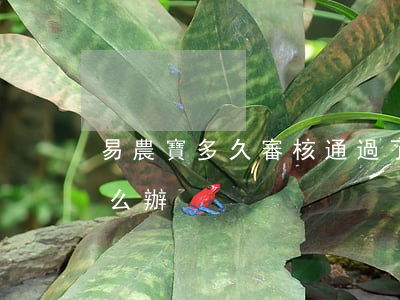 易農寶多久審核通過了寄到（易農寶逾期了怎么辦）