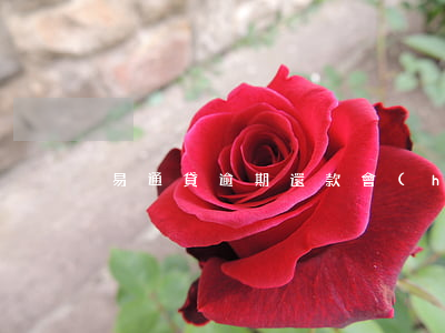 易通貸逾期還款會(huì)怎樣