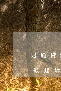 易通贷逾期多久会被起诉(易通贷逾期多久会被起诉)