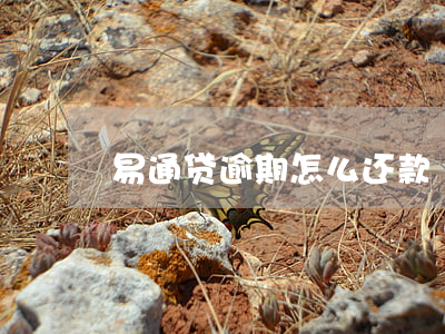 易通贷逾期怎么还款