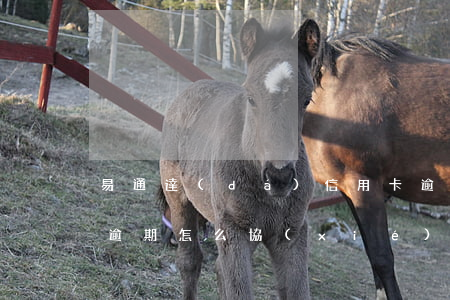 易通達(dá)信用卡逾期了怎么辦(易貸卡逾期怎么協(xié)商)