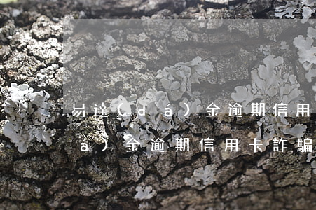 易達(dá)金逾期信用卡詐騙罪(易達(dá)金逾期信用卡詐騙罪)