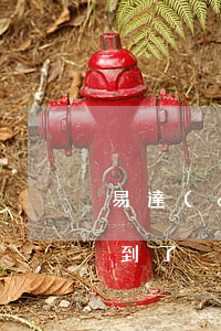 易達(dá)錢還款逾期一天(易美付還款日到了沒還進(jìn)去)