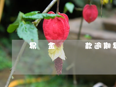 易達金賬戶還款逾期(易達金提前還款流程)