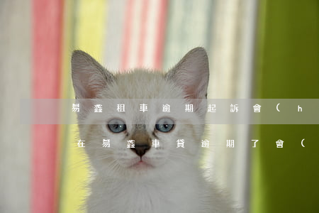 易鑫租車逾期起訴會(huì)怎么樣-我在易鑫車貸逾期了,會(huì)不會(huì)被起訴