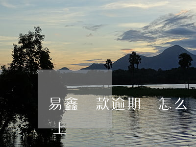 易鑫貸款逾期會怎么樣(易鑫車貸逾期三天還上)