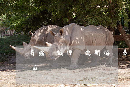 易鑫車抵押貸逾期起訴(易鑫車抵押貸款逾期后)