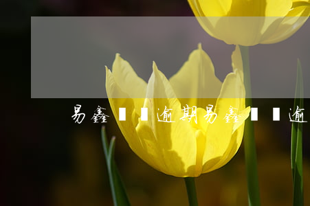 易鑫車貨逾期(易鑫車貨逾期一天)