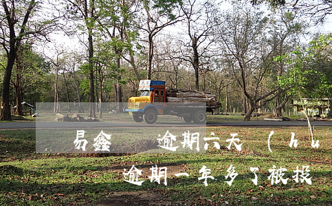 易鑫車貸逾期六天會(huì)收車嗎(易鑫車貸逾期一年多了被投訴了怎么辦)