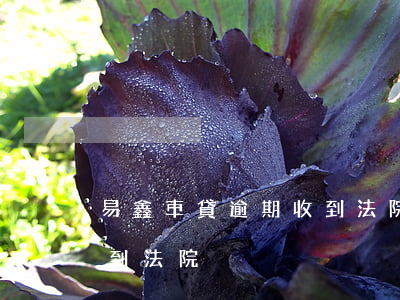 易鑫車貸逾期收到法院傳票(易鑫車貸把我告到法院)